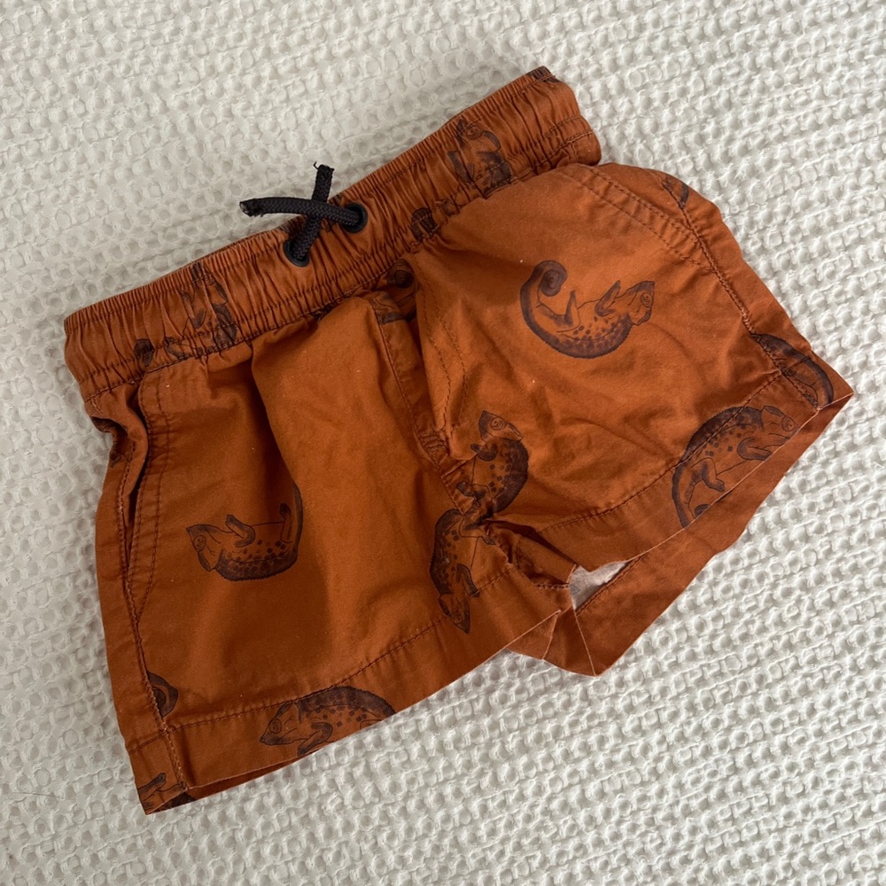 Zara swim